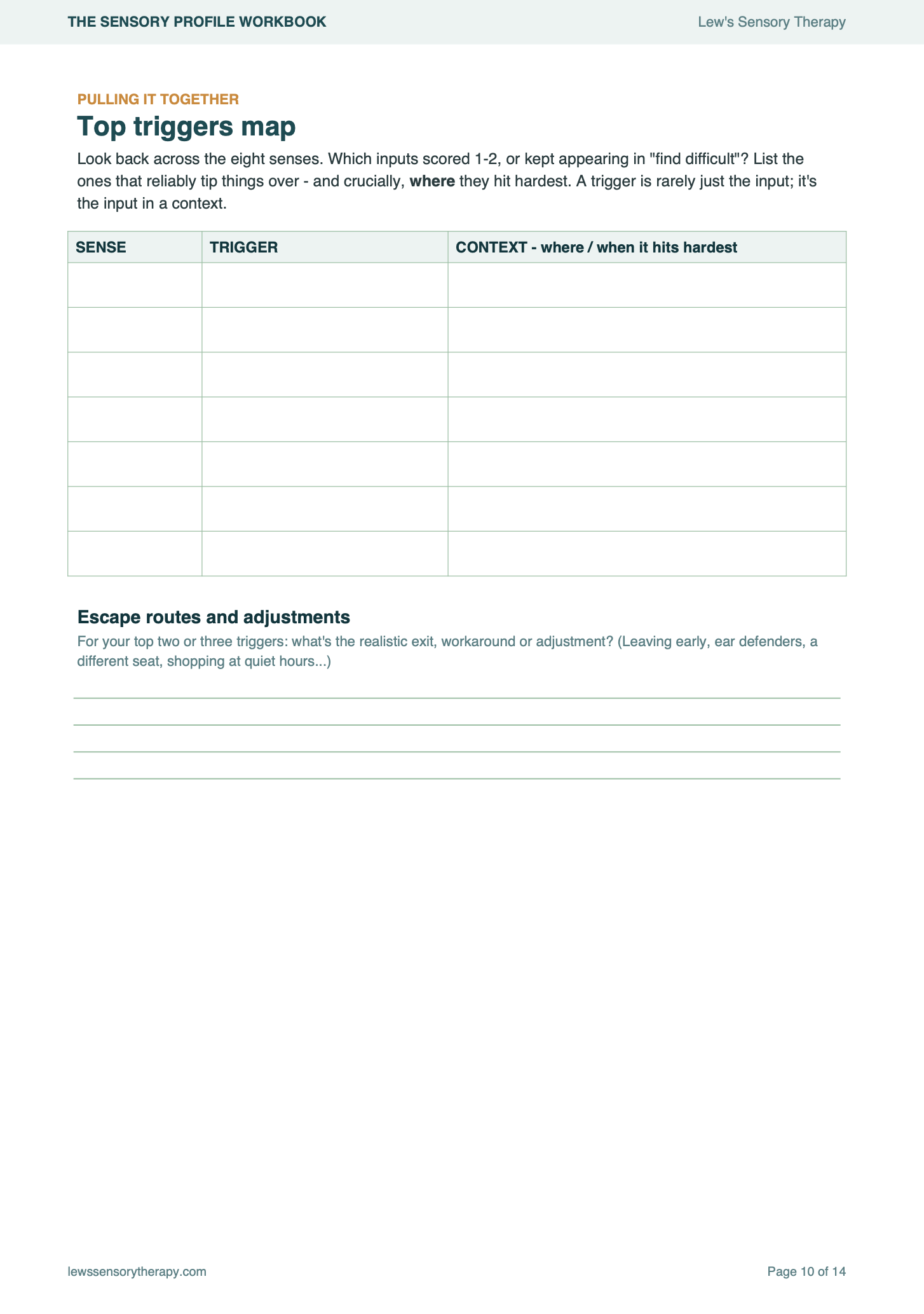 The Sensory Profile Workbook
